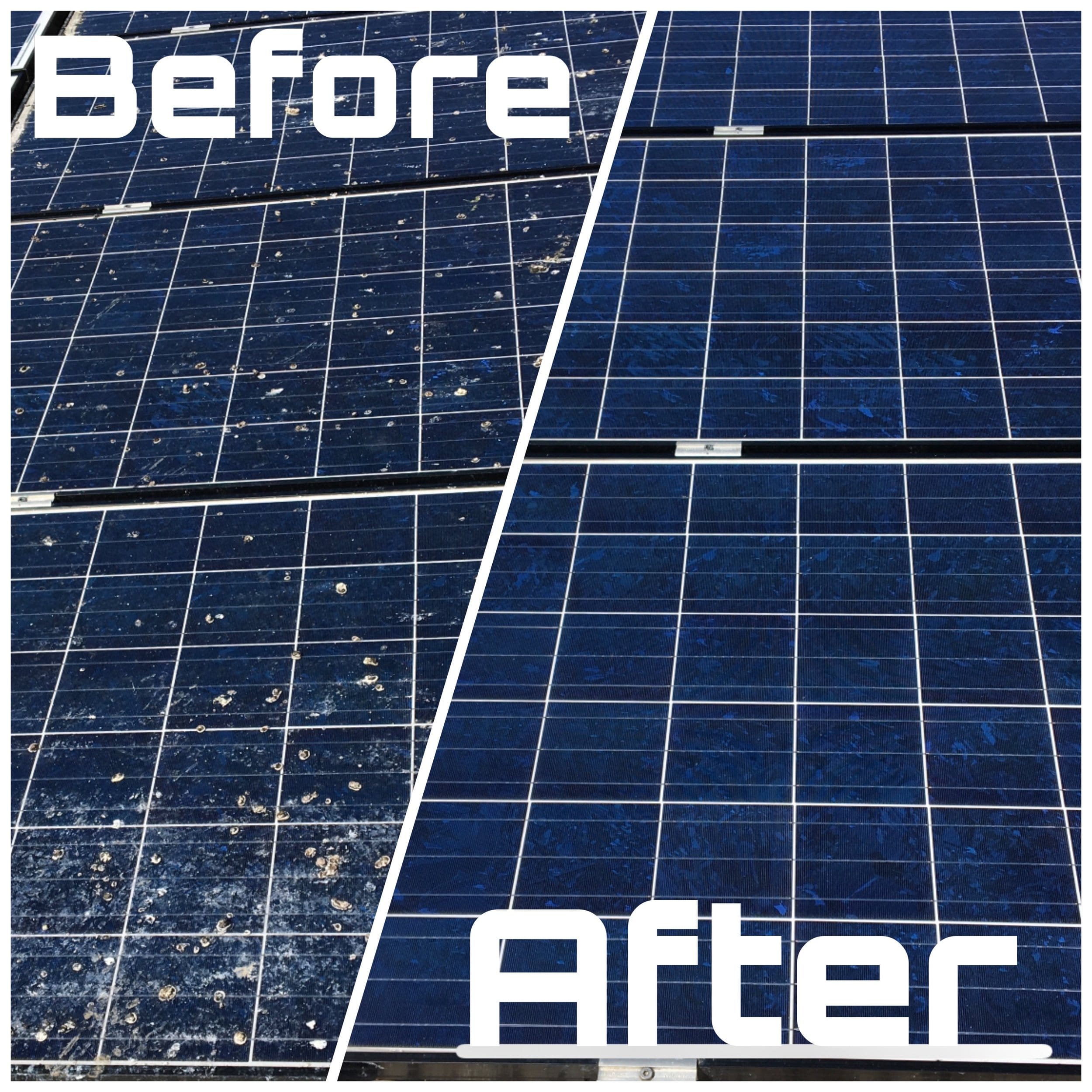 How to Clean Your Solar Panels True South Solar